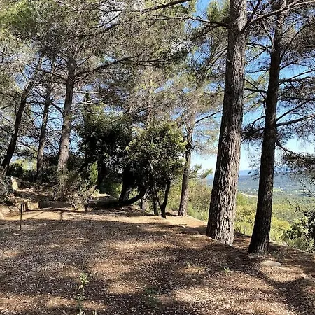 L'escapade Dans Le Ciel Tourtour